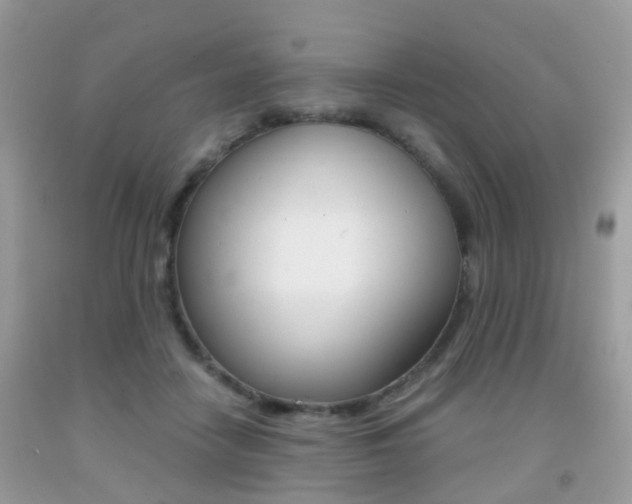 X0000091940458200709051306