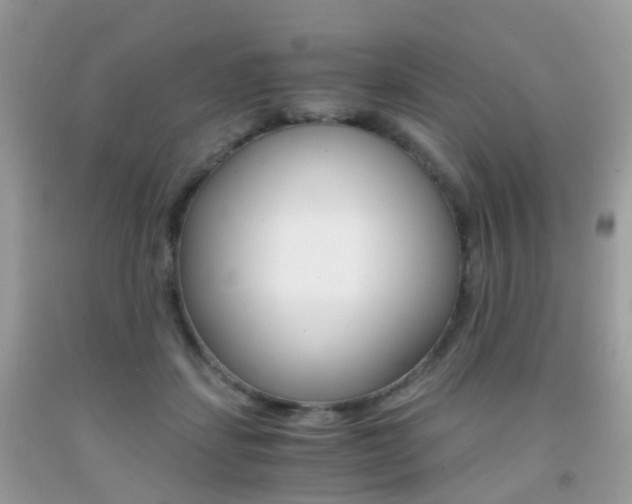 X0000091940459200709051306