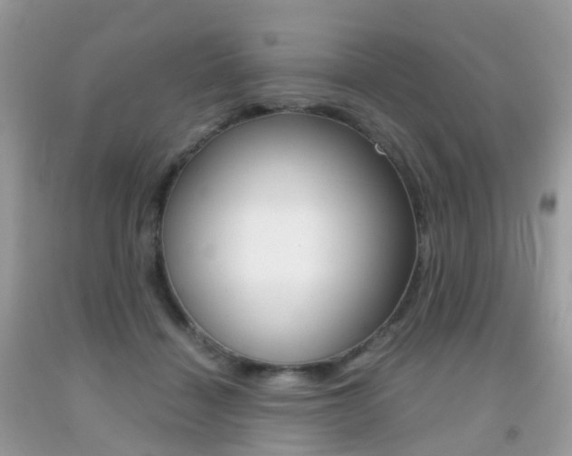 X0000091940460200709051306