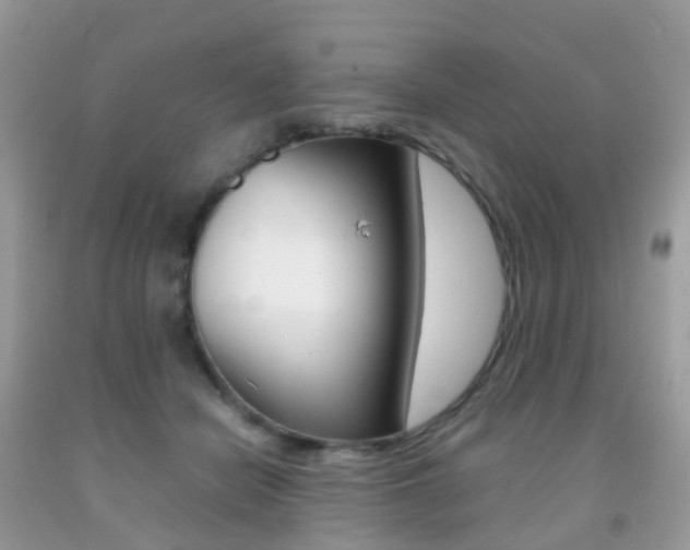 X0000091940462200709051306