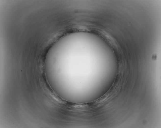 X0000091940465200709051306
