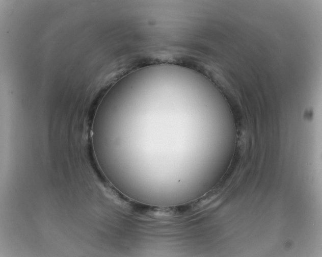 X0000091940466200709051306