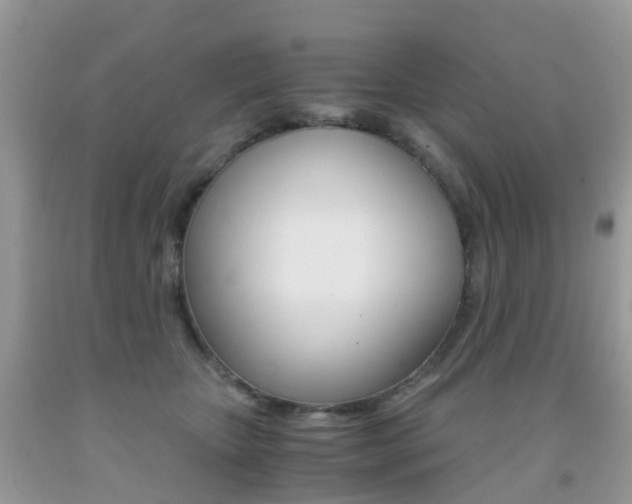 X0000091940467200709051306