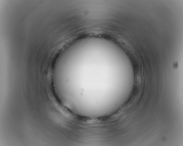 X0000091940468200709051306