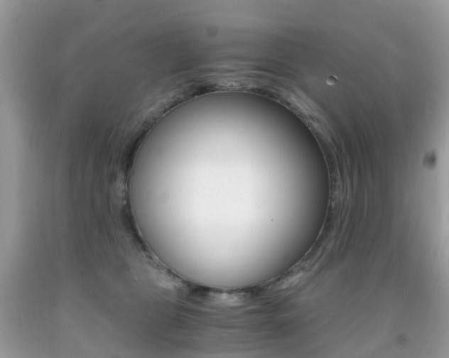 X0000091940469200709051306