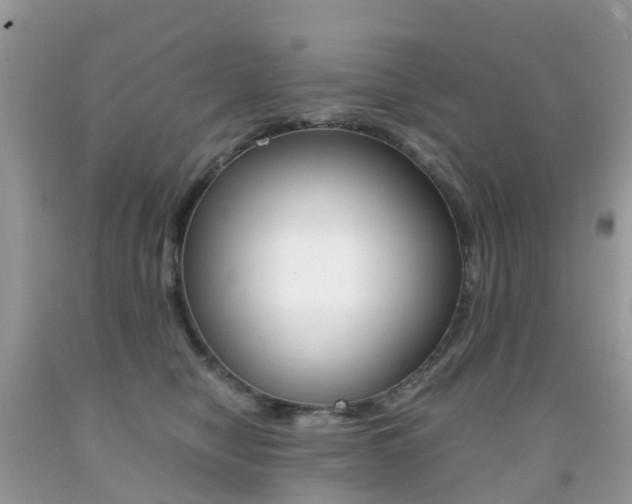 X0000091940470200709051306