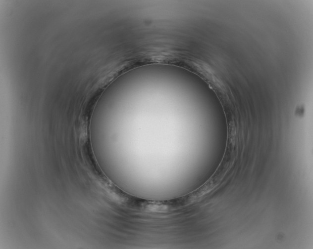 X0000091940471200709051306