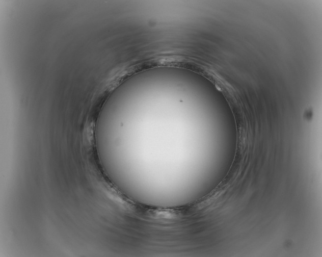 X0000091940475200709051306