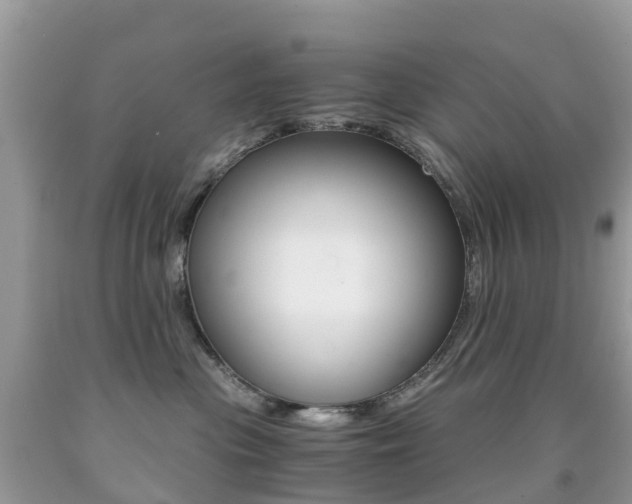 X0000091940477200709051306
