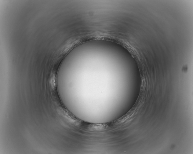 X0000091940479200709051306