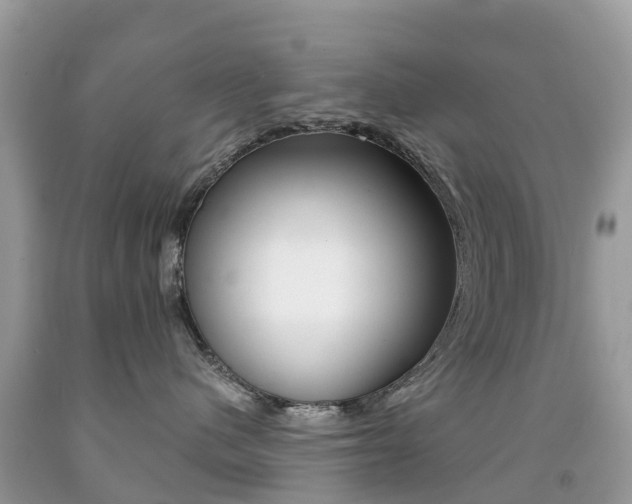 X0000091940480200709051306