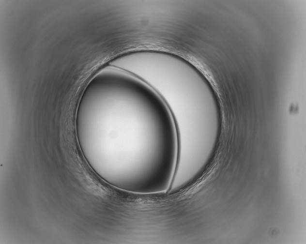 X0000091940481200709051306