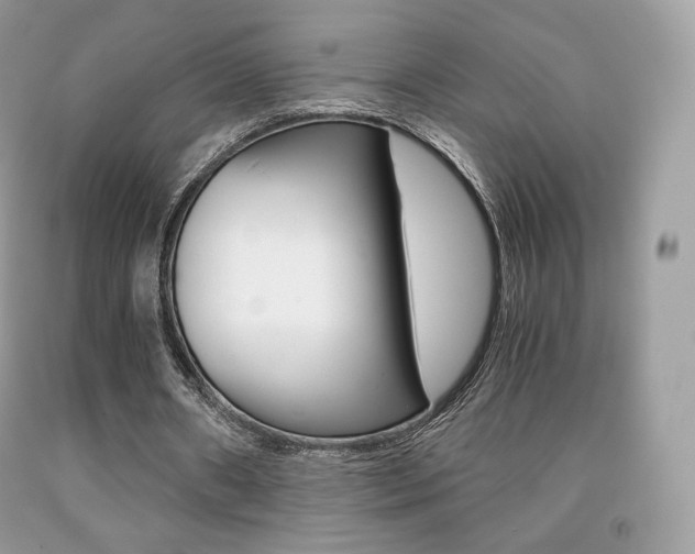 X0000091940482200709051306