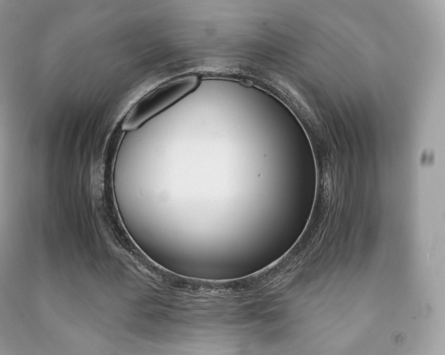 X0000091940484200709051306