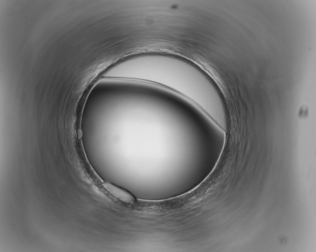 X0000091940485200709051306