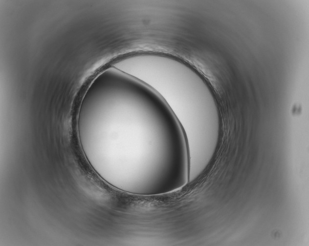 X0000091940488200709051306