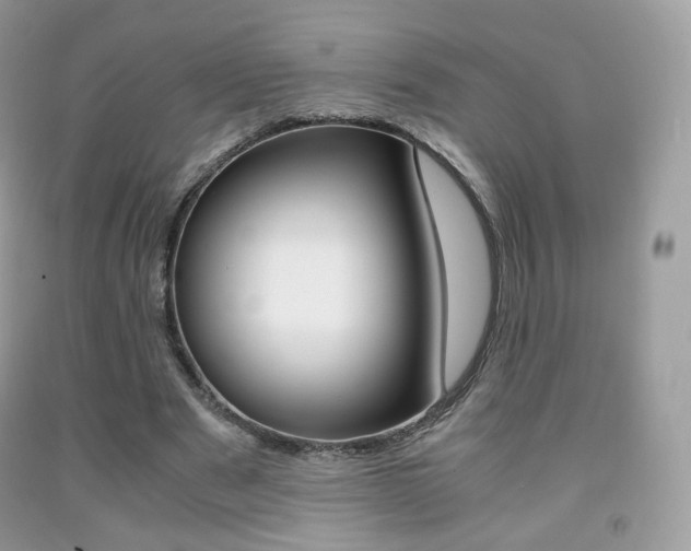 X0000091940489200709051306