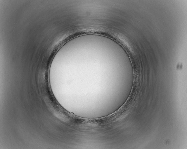 X0000091940491200709051306