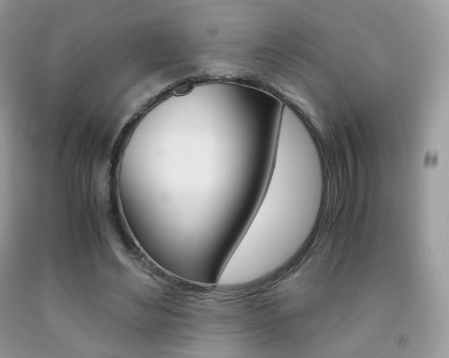 X0000091940492200709051306
