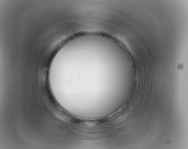 X0000091940495200709051306