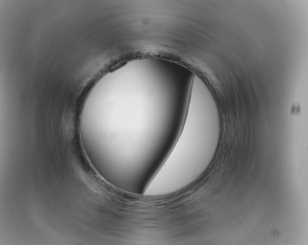 X0000091940496200709051306
