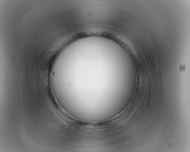 X0000091940498200709051306