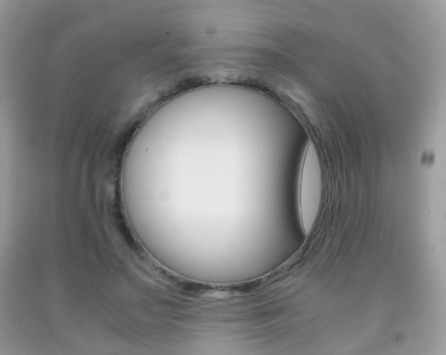 X0000091940499200709051305
