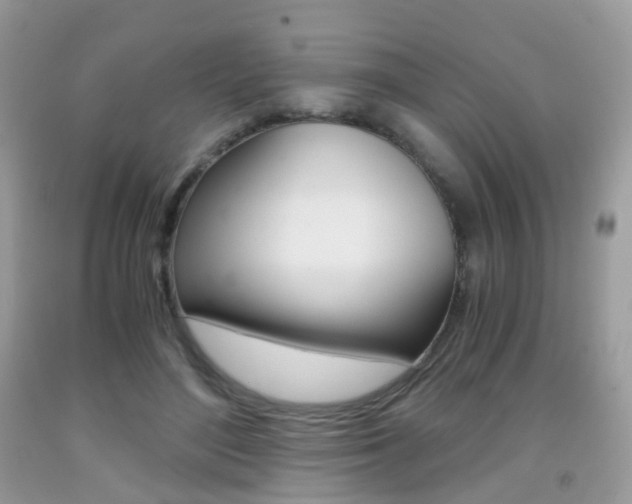 X0000091940500200709051305