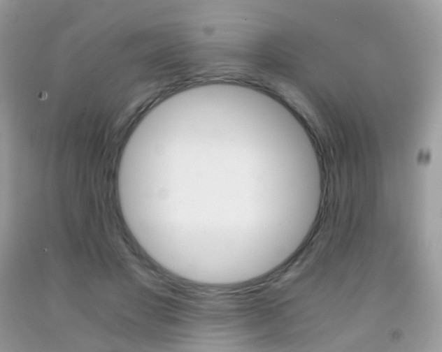 X0000091940501200709051305