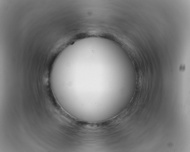 X0000091940502200709051305