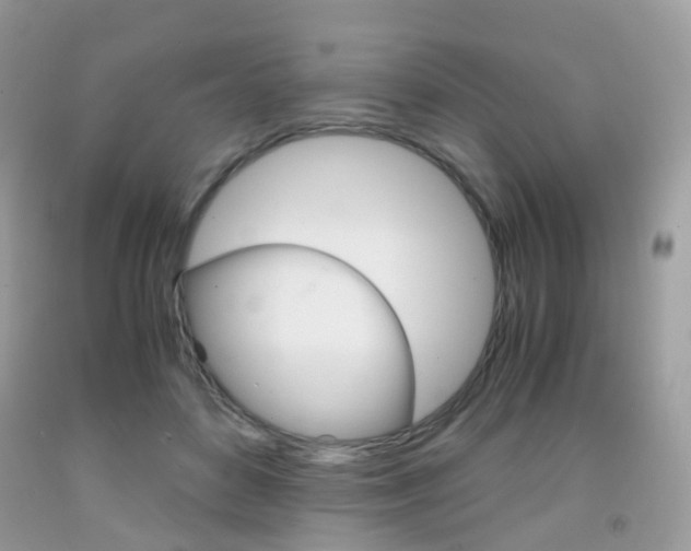 X0000091940504200709051305