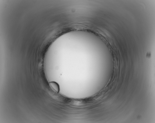 X0000091940507200709051305