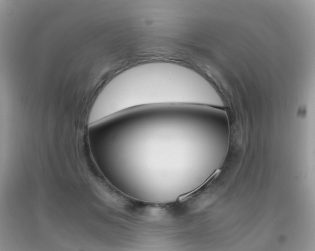 X0000091940509200709051305