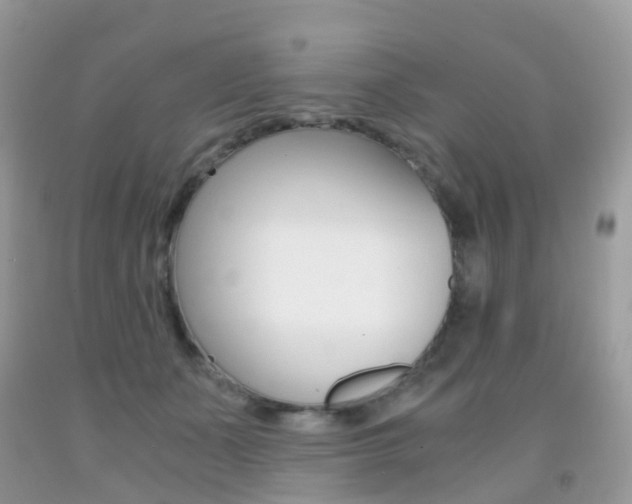 X0000091940511200709051305