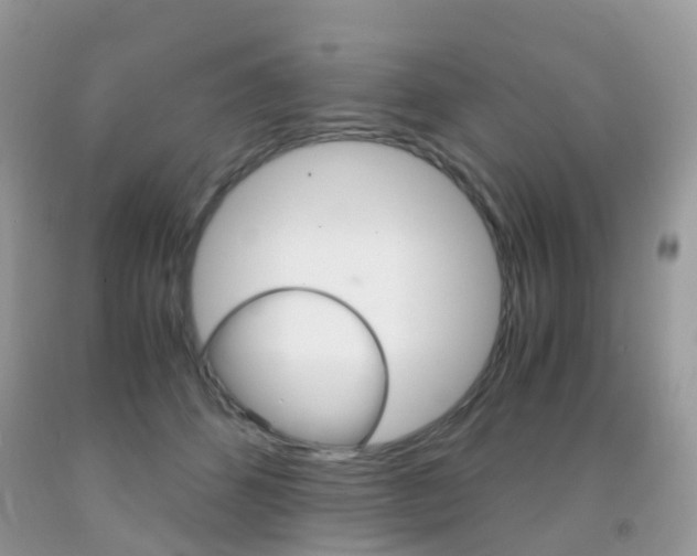 X0000091940512200709051305