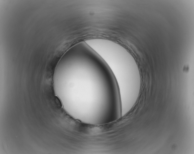 X0000091940513200709051305