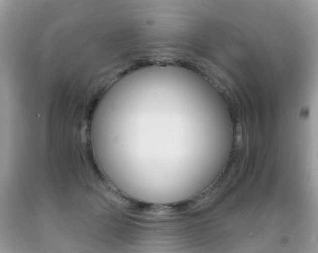 X0000091940514200709051305