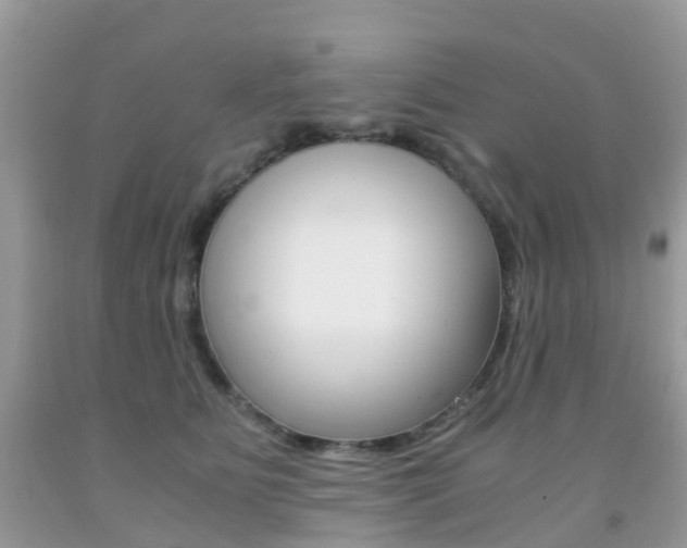 X0000091940515200709051305