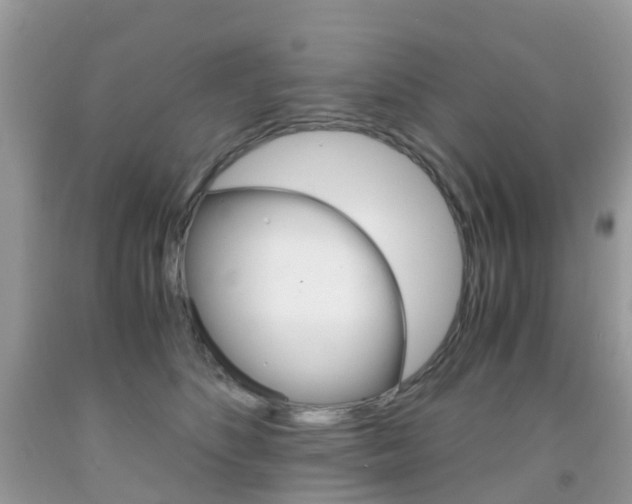 X0000091940516200709051305