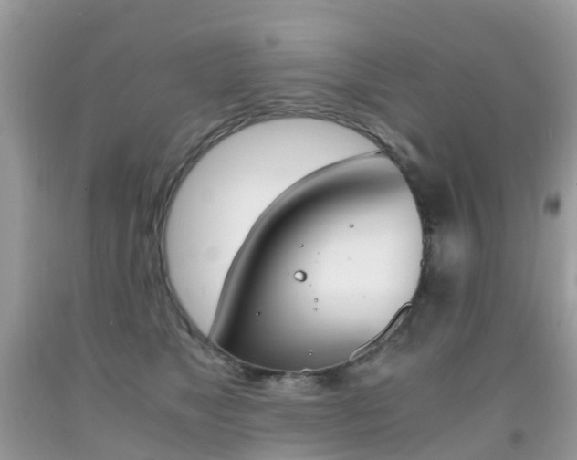 X0000091940517200709051305