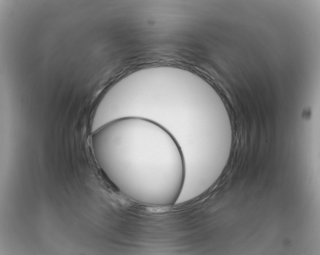 X0000091940520200709051305