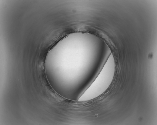 X0000091940521200709051305