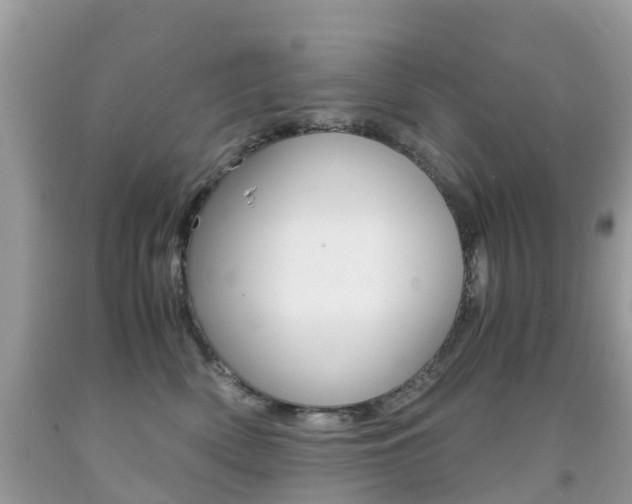 X0000091940522200709051305