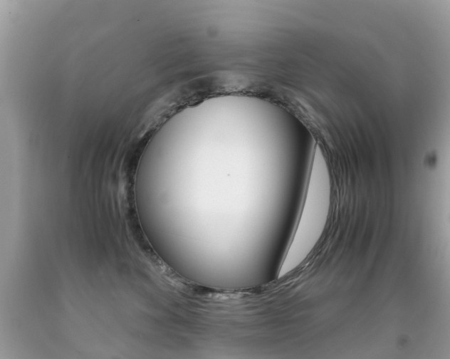 X0000091940524200709051305