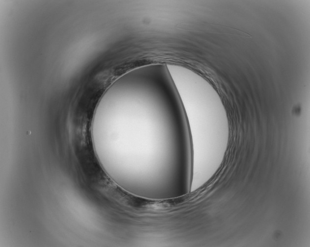 X0000091940525200709051305