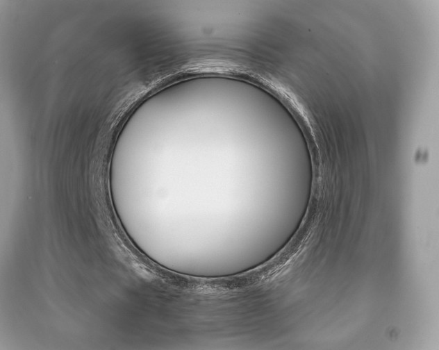 X0000091940529200709051304
