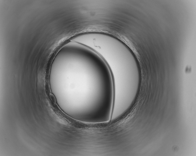 X0000091940530200709051304