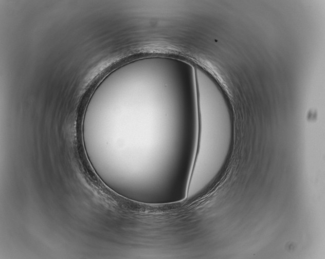 X0000091940531200709051304
