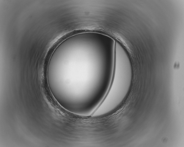 X0000091940532200709051304