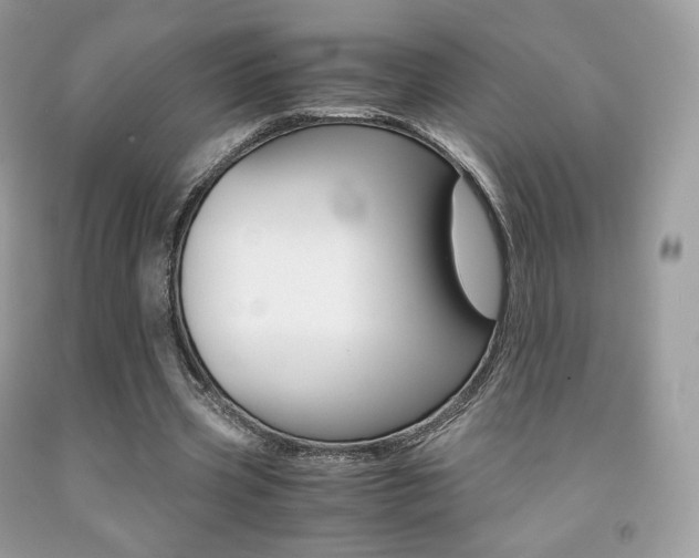 X0000091940533200709051304